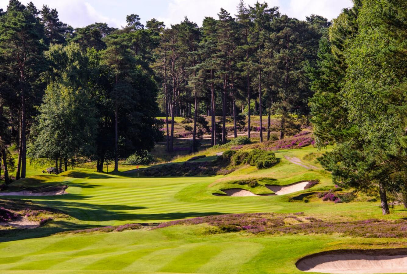 England Heathland